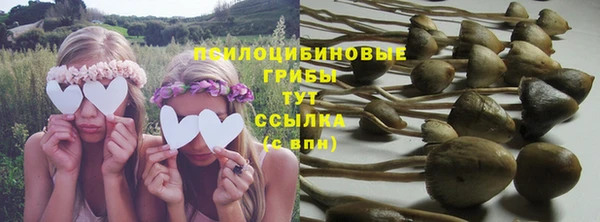 твердый Верея