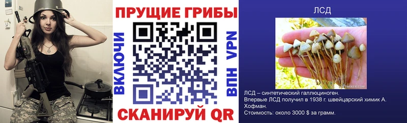 Псилоцибиновые грибы Magic Shrooms  где купить наркотик  Кемь 